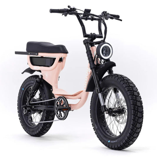 Fatboy Harlem ebike