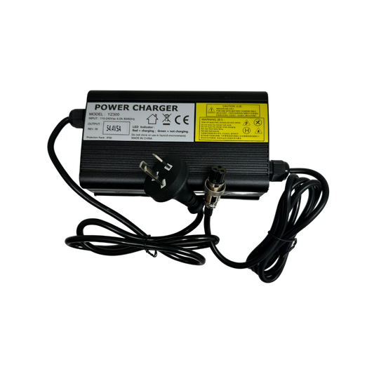 48V 5A Fast Charger